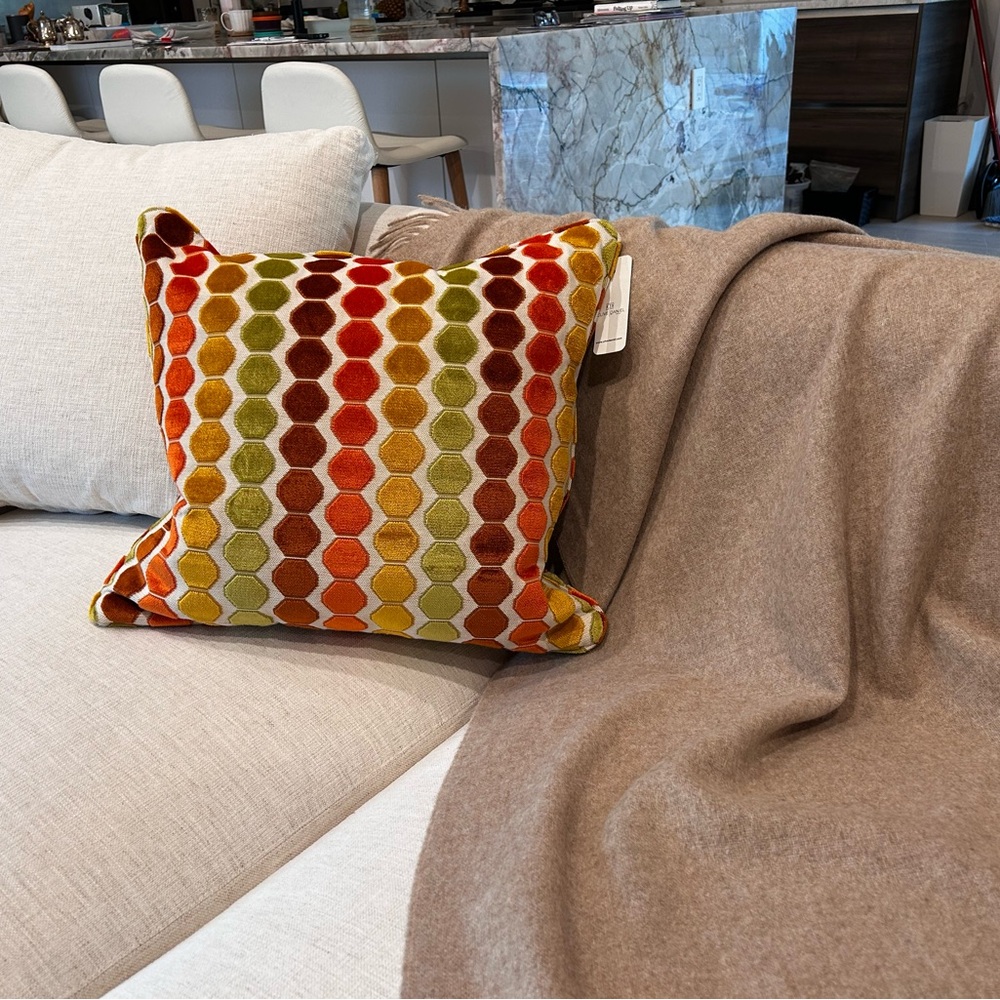 Designer accent pillow from Clive Daniels -20.5 X 20”